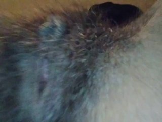 Look but DON'T touch pt. 16