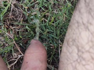 outdoors, compilation, pee, solo male