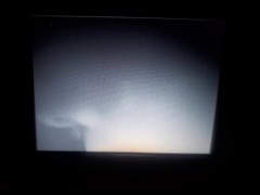 Slow cock worship BELLA SUCKS DADDY SLOWLY