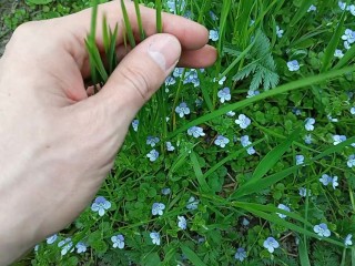 Fleurs Mignonnes et Ma Main