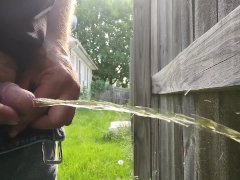 Peeing on my fence