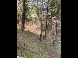 Masturbating in the woods