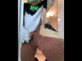 Furry watersports compilation Vol 1 : Chuckles Shep