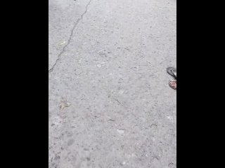 Public masturbation in public market pinay