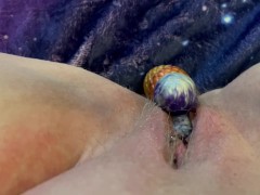 Multiple egg birthing - Screenshot 6 of 16 - Ovipositor