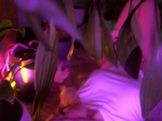 Teen girl in wet T-shirt teases daddy! masturbating wet pussy! close-up, wet T-shirt, wet body!