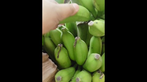 Masturbate using banana in the forest
