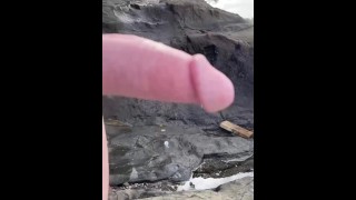 Cut cock irlandais sur la plage