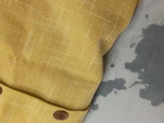 Couch piss