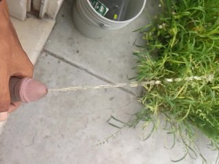 Orinada Lenta Lenta 😏💧