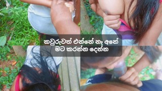 Srilankisches Zierliches Dorfmädchen Sex Im Freien
