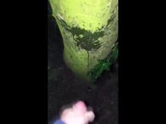 Tree Squirt