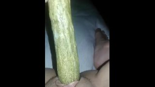 Dit meisje is erg heet, ik masturbeerde haar met een grote komkommer, luister hoe ze kreunt