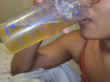 My small dog drinking all yellow piss II 06/07/2023