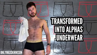ТРАНСФОРМИРУЕТСЯ В НИЖНЕЕ БЕЛЬЕ ALPHAS