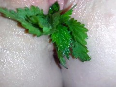 Lady Shock - Nettle Orgasm