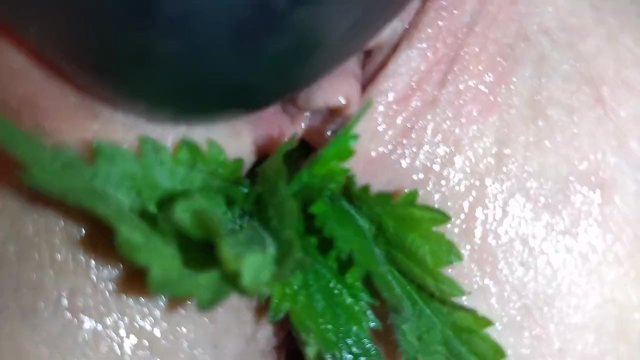 Watch Bondage Video:Lady Shock - Nettle Orgasm