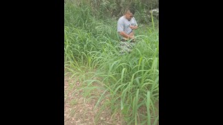 I was at popular spring creek and caught stranger masturbating and cock flashing