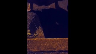 ПОЙМАННЫЙ!! Мочиться на обочине дороги