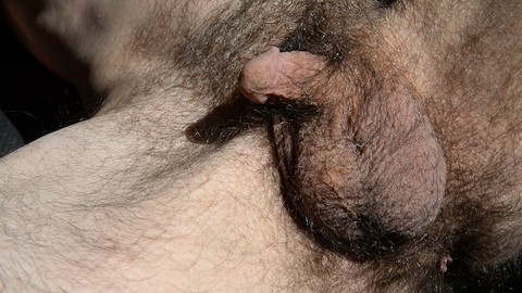 Gone Native II - Fan requests for really hairy; closeup, hairy pink hole, precum play & cumshot