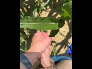 got horny in a corn field