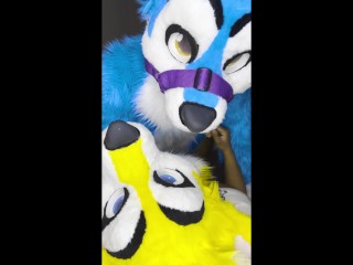Furries having Fun in Bed