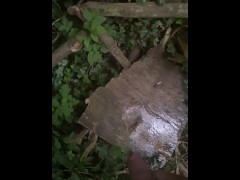 Pissing in the Woods