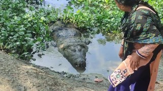 Le crocodile noir de Khan Jahan Ali Mazar
