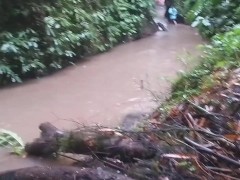 Public PEE on Waterfals Jungle trail