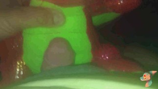 Веселье со сломанным драконом в комнате