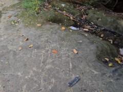 Passeio - Screenshot 1 of 16 - Drone