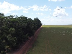 Passeio - Screenshot 13 of 16 - Drone