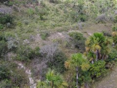 Passeio - Screenshot 5 of 16 - Drone