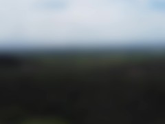 Passeio - Screenshot 7 of 16 - Public