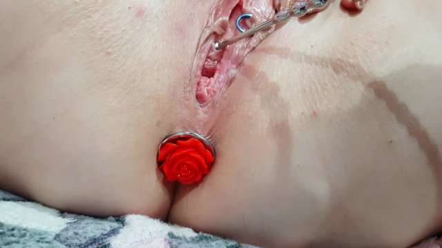 Watch Bondage Video:Urethral sounding pussy with butt plug