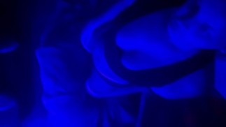 丈夫回到家，发现我跪在地上准备接受他多汁的大鸡巴