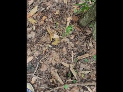 Outdoor public piss at the golf course