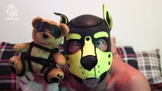 Щенок получает нового медведя!