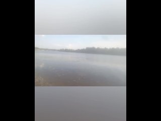 andkvcat подрочил на речке в белых трусиках