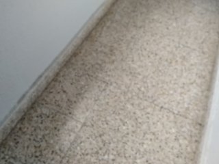 Exhibicionista Se Saca su Gran Polla en el Ascensor y se Pajea en la Escalera de Los Vecinos