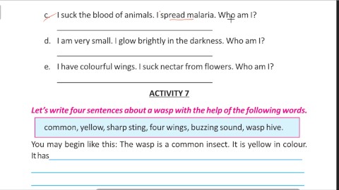 Escribe cuatro frases sobre una wasp Solve por Bikash Edu care