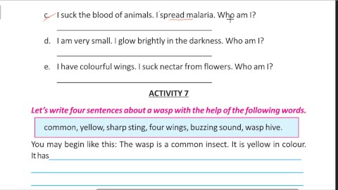 Write four sentence about a wasp Solve by Bikash Edu care