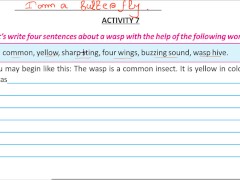 Write four sentence about a wasp Solve by Bikash Edu care - Screenshot 10 of 16 - Blacked
