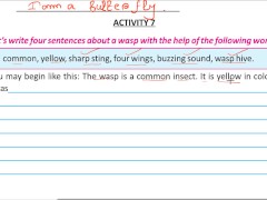 Write four sentence about a wasp Solve by Bikash Edu care - Screenshot 11 of 16 - Indian Bhabi