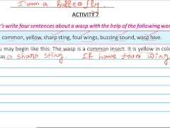 Write four sentence about a wasp Solve by Bikash Edu care - Screenshot 13 of 16 - Amateur