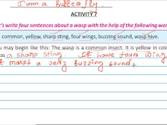 Write four sentence about a wasp Solve by Bikash Edu care - Screenshot 14 of 16 - Cheat