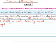 Write four sentence about a wasp Solve by Bikash Edu care - Screenshot 15 of 16 - Blacked