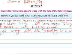 Write four sentence about a wasp Solve by Bikash Edu care - Screenshot 16 of 16 - Indian Bhabi