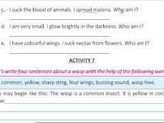 Write four sentence about a wasp Solve by Bikash Edu care - Screenshot 5 of 16 - Blacked