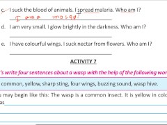 Write four sentence about a wasp Solve by Bikash Edu care - Screenshot 6 of 16 - Indian Bhabi